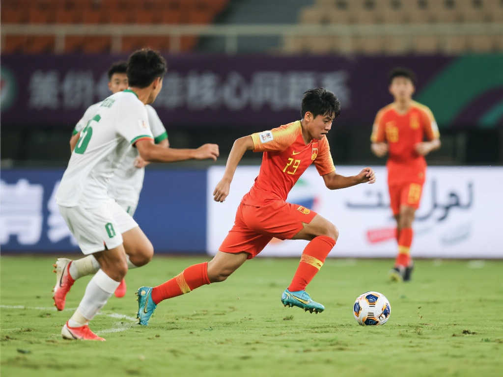 不仅展示了 不仅展示了